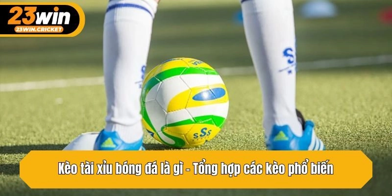 Tổng hợp các kèo tài xỉu bóng đá phổ biến