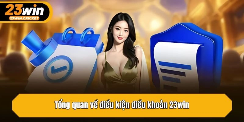 Tổng quan về điều kiện điều khoản 23win